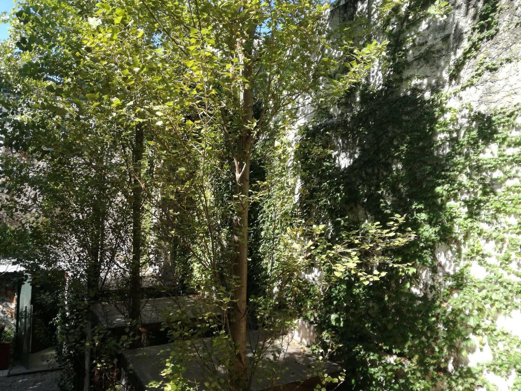 Feel Buenos Aires Apartments Εξωτερικό φωτογραφία